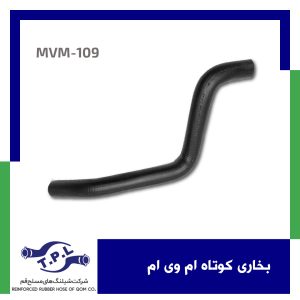 بخاری کوتاه ام وی ام